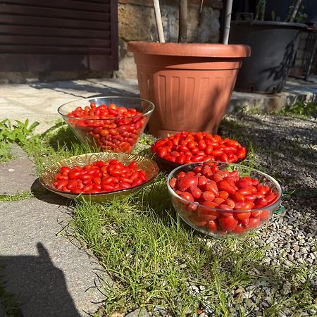 Bed & Breakfast Casale Gregoriano And Apartaments Σαν Τζιμινιάνο Εξωτερικό φωτογραφία